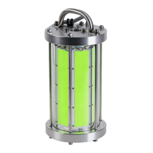 COB fishing light