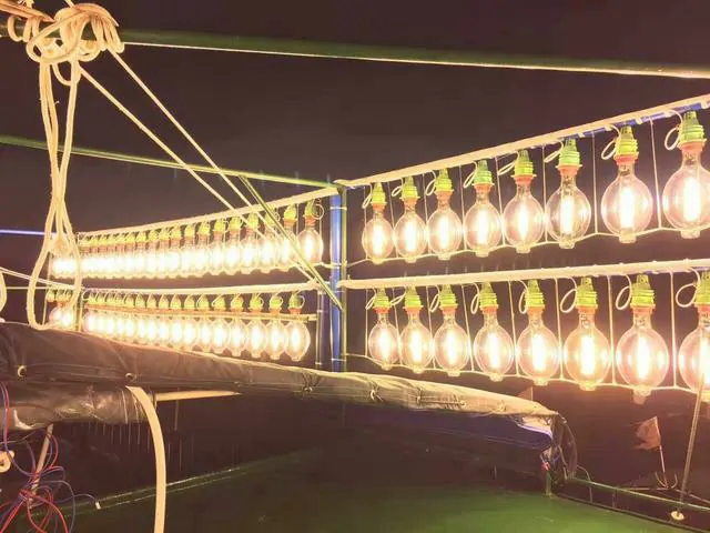 Traditional fishing light bulbs lit on fishing vessel at night