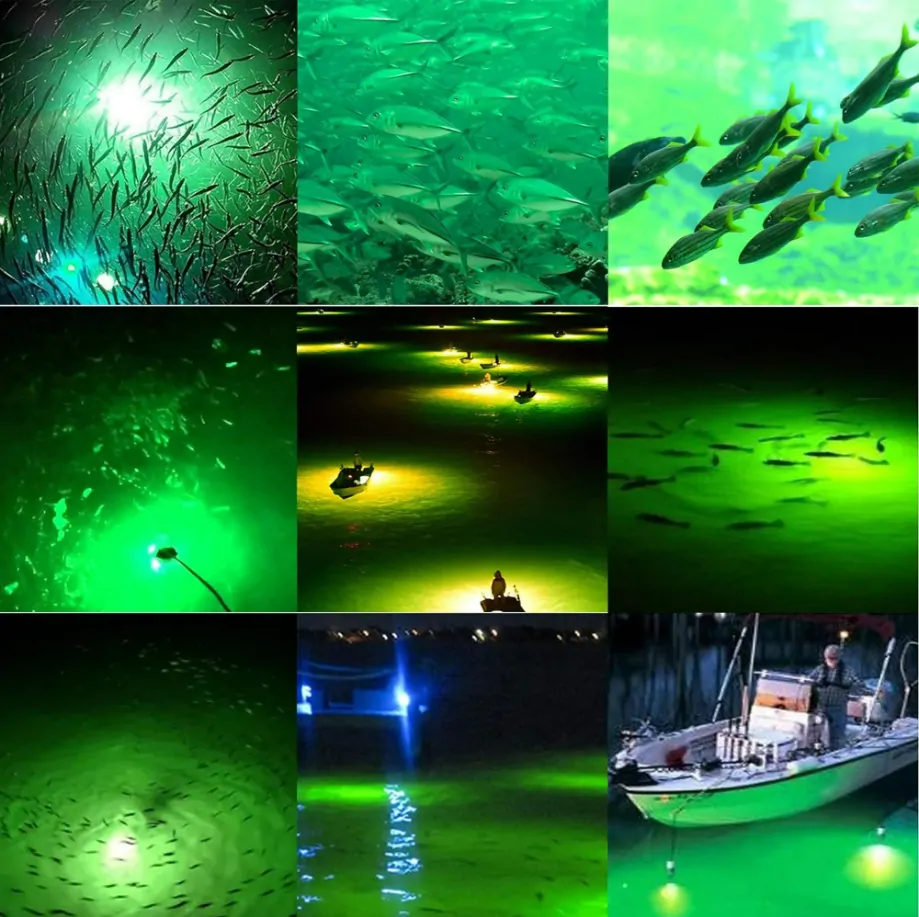 LED fishing light fish-attracting effect collage