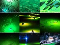 LED fishing light fish-attracting effect collage