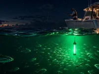 School of fish gathering beneath a night fishing boat using a suspended green fish attractor light
