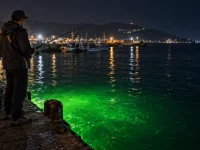 Angler using a green dock fishing light to attract fish during night fishing in a harbor