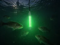 Green submersible fishing light attracting bass underwater during night fishing
