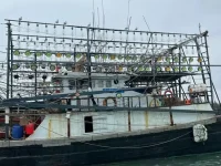 Performance of Clamp-on Fishing Lights