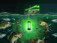 Underwater fishing lights and the underwater food chain