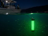 boat night fishing lights06f-659c37895d73