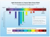 does-green-light-attract-fish